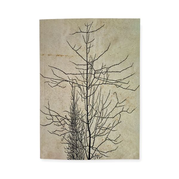 Notebook "Trees"