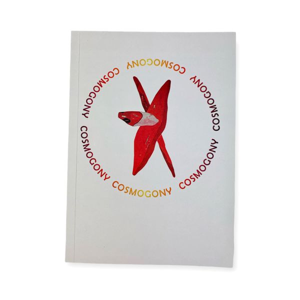 Notebook "Cosmogony"